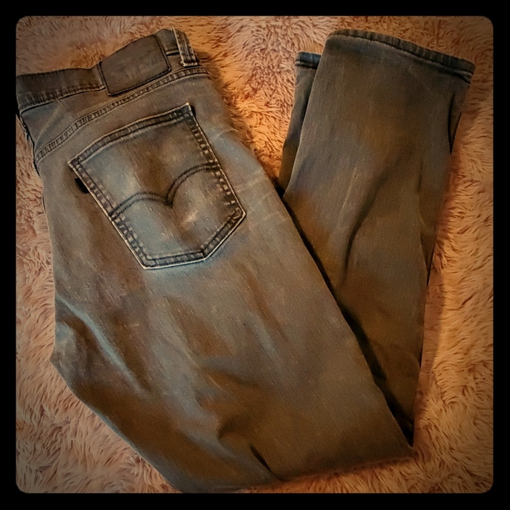 541 levis